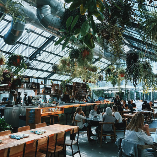 Plants and cafe shop